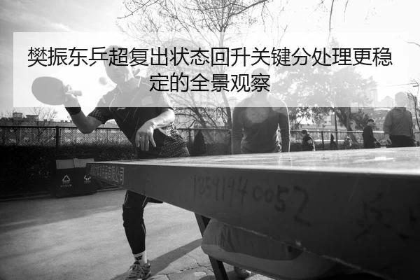 樊振东乒超复出状态回升关键分处理更稳定的全景观察